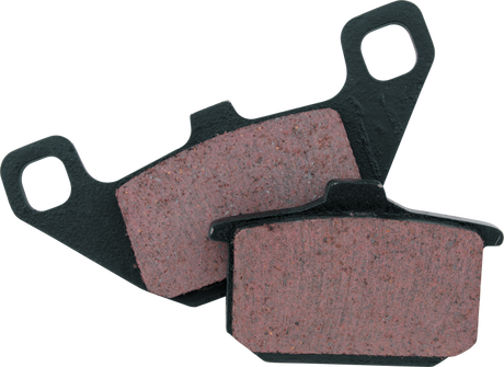 BikeMaster Kawasaki Brake Pads - Rowdy Warehouse 