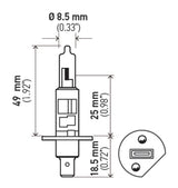 Hella Optilux H1 100W XB Extreme White Bulbs (Pair) - Rowdy Warehouse 