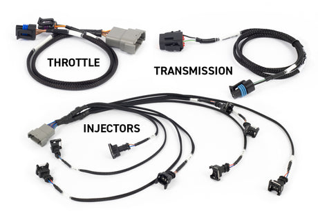 Haltech NEXUS Rebel LS Kit (Suits Gen III) Cable Throttle/EV1 Injectors/Manual Transmission - Rowdy Warehouse 