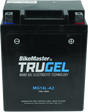 BikeMaster Trugel Battery MG14L-A2 - Rowdy Warehouse 