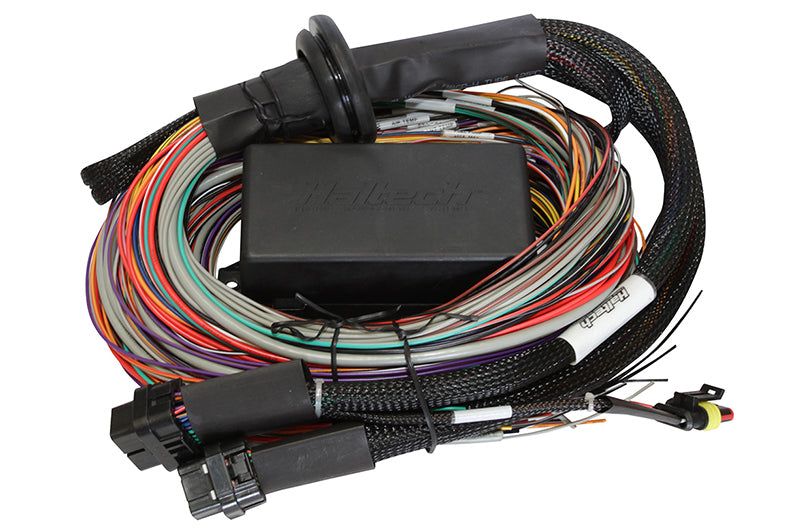 Haltech Elite 1500 8ft Premium Universal Wire-In Harness - Rowdy Warehouse 