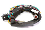 Haltech Elite 2500 Basic Universal Wire-In Harness ECU Kit - Rowdy Warehouse 