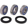 All Balls Racing 98-02 Kawasaki ZX600 (ZX-6R) Wheel Bearing Kit - Rear - Rowdy Warehouse 