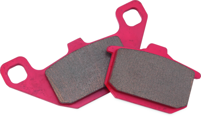 BikeMaster Kawasaki Sintered Brake Pads - Rowdy Warehouse 