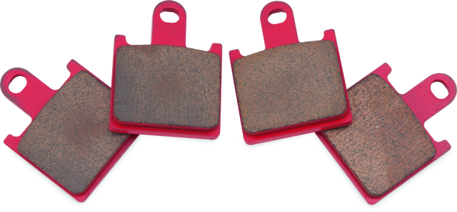 BikeMaster Kawasaki Sintered Brake Pads - Rowdy Warehouse 