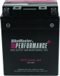 BikeMaster BTX14AHL-BS Battery - Rowdy Warehouse 