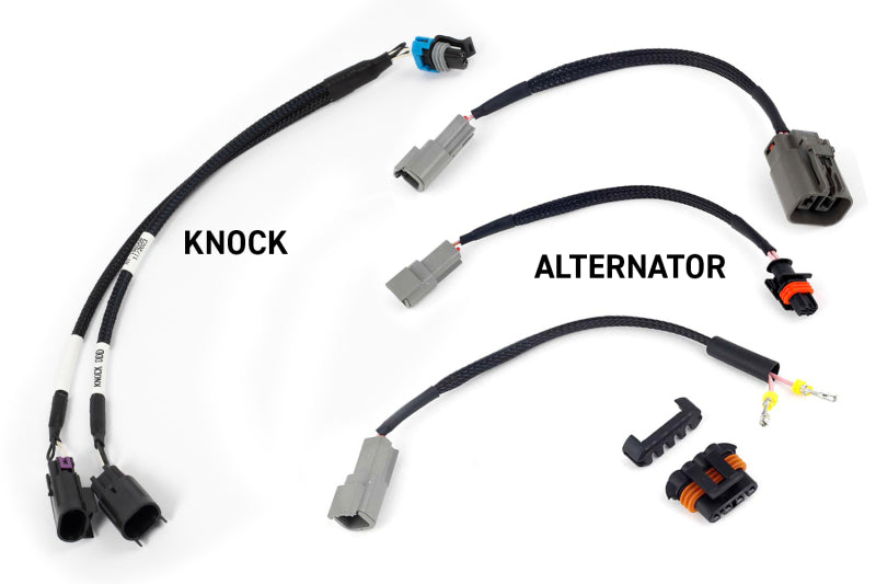 Haltech NEXUS Rebel LS Kit (Suits Gen III) Cable Throttle/EV1 Injectors/Manual Transmission - Rowdy Warehouse 