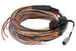 Haltech PD16 Flying Lead Harness 5M - Rowdy Warehouse 